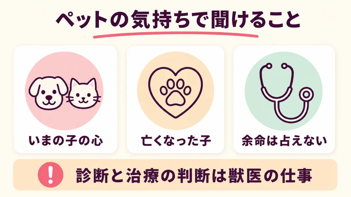電話占いで聞けるのはいまの子の心と亡くなった子の話で余命は占えない