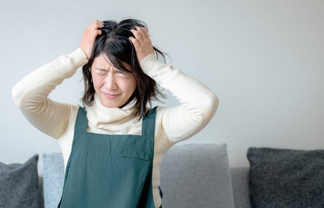 プロミスは無職で嘘ついて借入できる？無職になったら？即日無職でも借りれるところ。年金受給者・専業主婦・知恵袋